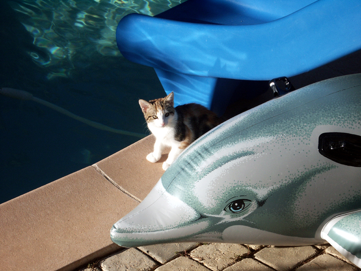 2004-08 121.jpg - DCF 1.0